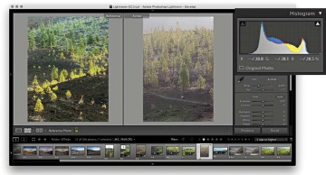 Assessing your images Develop module image | Adobe Press
